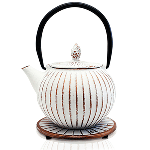 Cast Iron Teapot - Anyang White 850ml