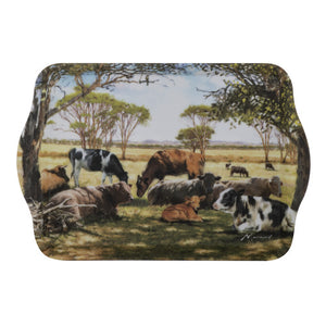 Ashdene - Grazing Paddocks - Finding Shade Scatter Tray