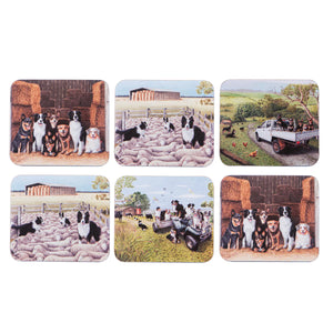 Ashdene - Working Dogs - Coasters Assorted 6pk