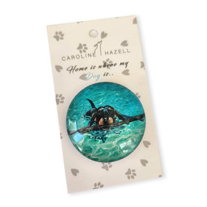 Caroline Hazell - Crystal Fridge Magnet - Dachshund