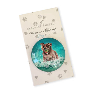Caroline Hazell - Crystal Fridge Magnet - Spaniel