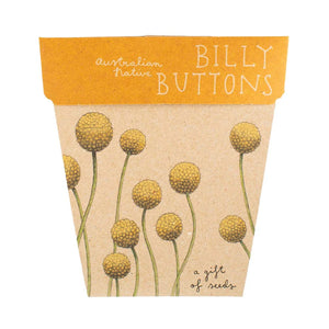 Sow 'n Sow - A Gift of Seeds - Billy Buttons