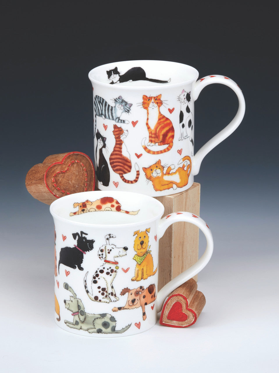 Dunoon - Bute - Loveable Cats