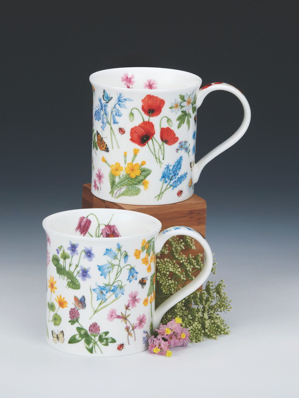 Dunoon - Bute - Wild Flowers Poppy