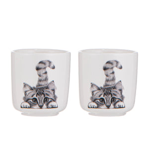 Ashdene - Chester The Cat 2pk Egg Cup