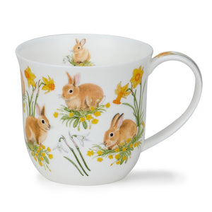 Dunoon - Cumbrae - Bunnies
