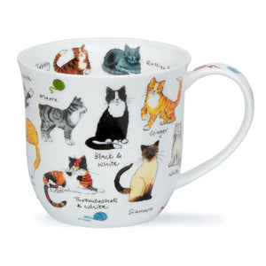 Dunoon - Cumbrae - Cat Breeds
