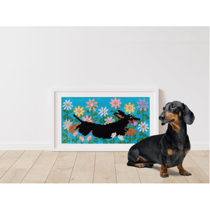 The Dog Collective - Half Stitch Kit