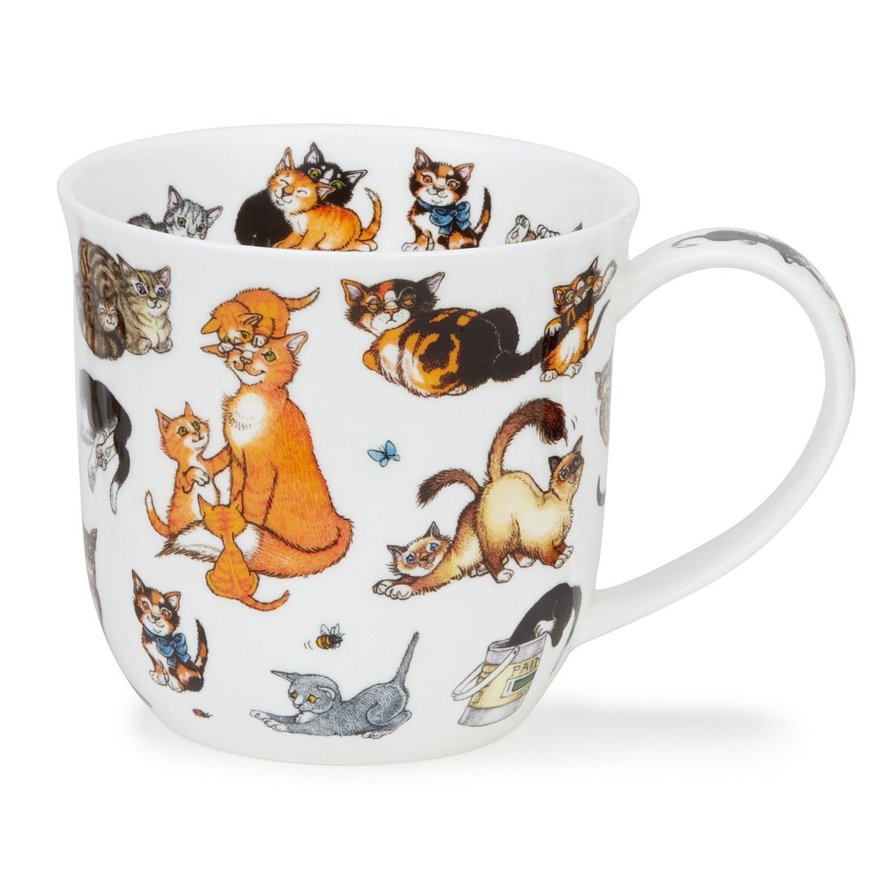 Dunoon - Cumbrae - Cats - Kitty Katz