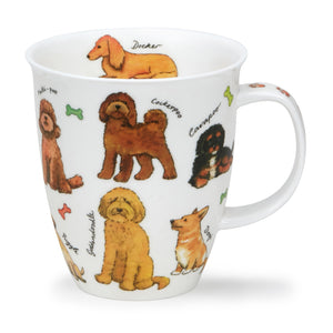 Dunoon - Nevis - Designer Dogs