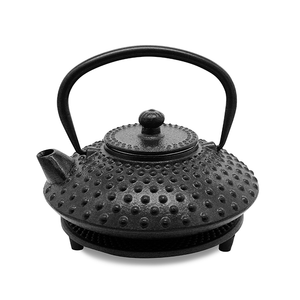 Cast Iron Teapot - Fuyu Black - 500ml