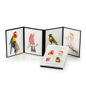 Jeremy Boot - Gift/Greeting Card Pack - Australian Colourful Parrots