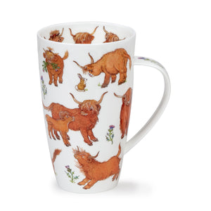 Dunoon - Henley - Cows - Heelan Coos