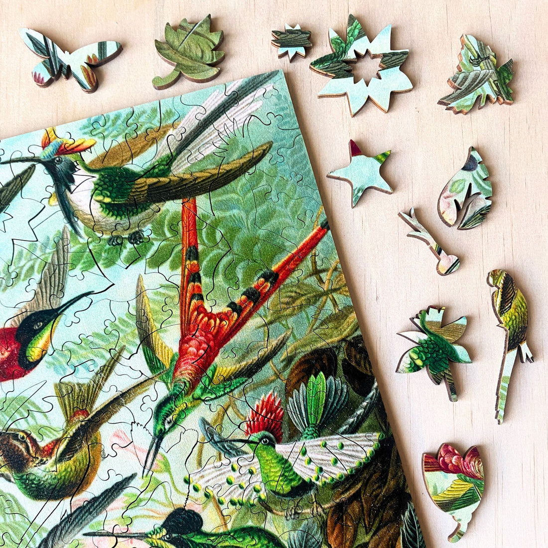 Twigg Puzzles - Hummingbirds - 228 Pieces