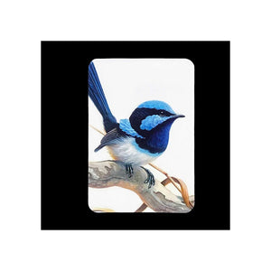 Jeremy Boot - Magnet Pairs - Wren & Kookaburra
