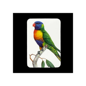 Jeremy Boot - Magnet Pairs - Rosella & Lorikeet
