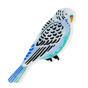 Jones & Co - Aerial Budgie - Wall Art