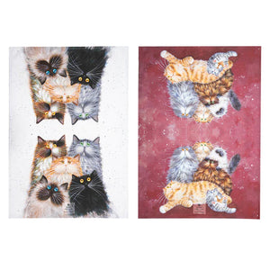 Ashdene - Kim's Cats - Fluffy Friends 2pk Kitchen Towel