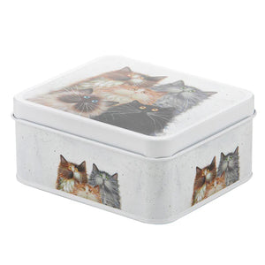Ashdene - Kim's Cats - Biscuit Tin