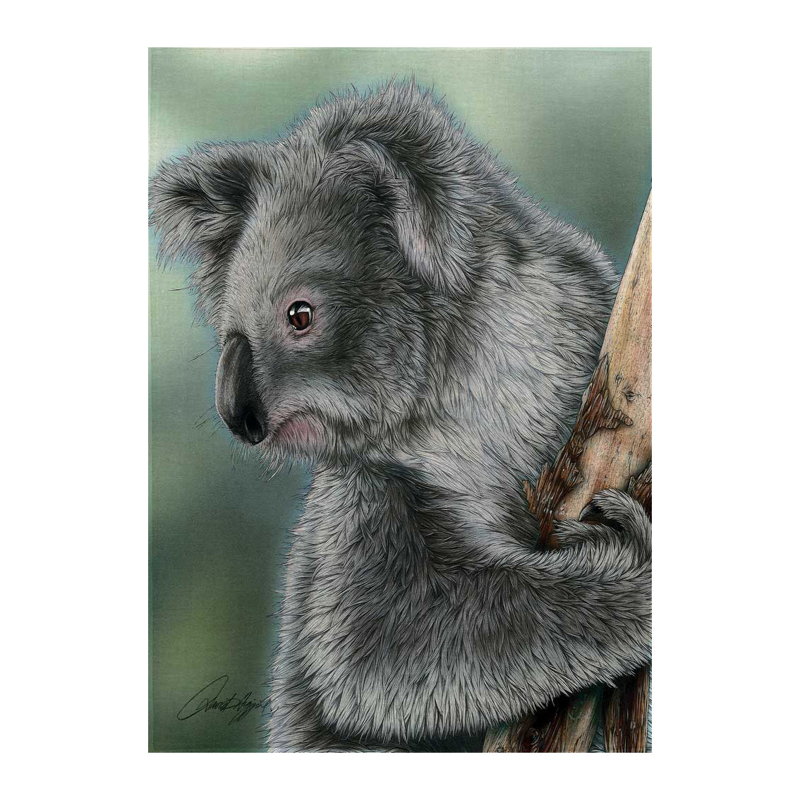 Linen Tea Towel - Australia - Koala