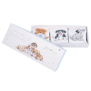 Wrendale Designs - Little Paws Baby Dog Socks Set of 3