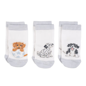 Wrendale Designs - Little Paws Baby Dog Socks Set of 3