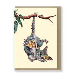 Marini Ferlazzo - Greeting Card - Ringtail Possum