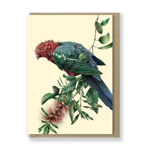 Marini Ferlazzo - Greeting Card - King Parrot