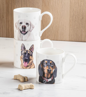 Ashdene - Paws and All - Pug Mug