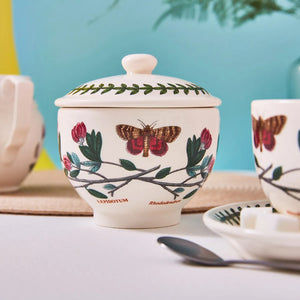 Portmeirion - Botanic Garden - Sugar Bowl Rhododendron