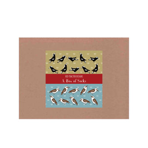 Red Tractor Designs - Cotton Socks - Kookaburras & Magpies Boxed Set