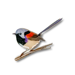 Selatan Brooch - Australian Variegated Fairy Wren