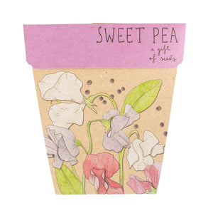 Sow 'n Sow - Gift of Seeds - Sweet Pea
