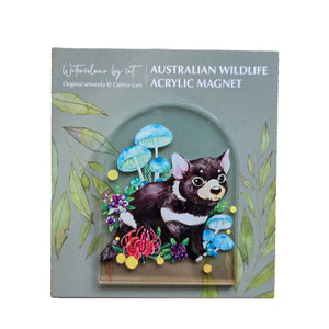 Australian Animals Magnet - Tasmanian Devil