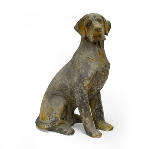 Baron Dog Decor