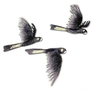 Bridget Farmer ~ Wall Decoration ~ Black Cockatoos Set - Red Sparrow Tea Company