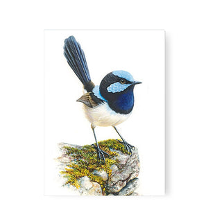 Jeremy Boot - Greeting Card - Blue Wren