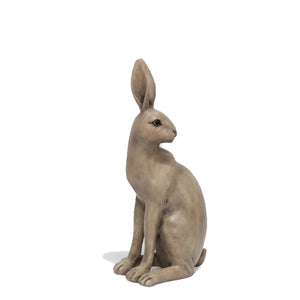 Harold the Hare - Turning - Brown