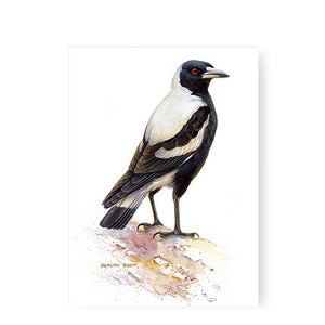 Jeremy Boot - Greeting Card - Magpie