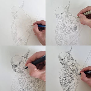 Marini Ferlazzo - Mug - Sulphur-Crested Cockatoo