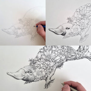 Marini Ferlazzo - Mug - Platypus