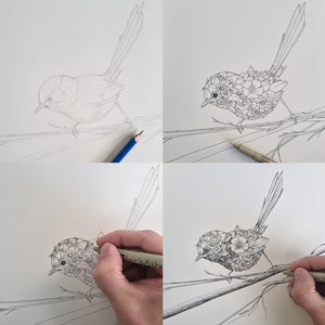 Marini Ferlazzo - Mug - Variegated Fairy-Wren