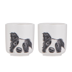 Ashdene - Peeking Pups Border Collie 2pk Egg Cup