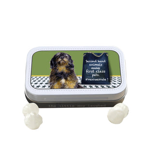 Mint Tin - Rescue Rules