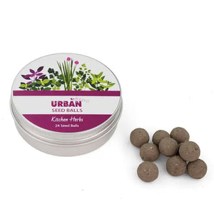 Urban Greens - Seed Balls - Kitchen Herbs