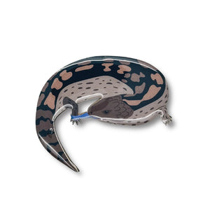 Selatan Brooch - Australian Blue Tongue Lizard