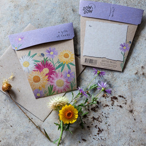 Sow 'n Sow - A Gift of Seeds - Native Daisies