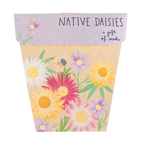 Sow 'n Sow - A Gift of Seeds - Native Daisies