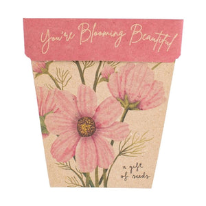 Sow 'n Sow - A Gift of Seeds - Blooming Beautiful