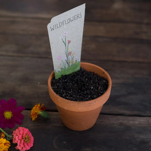 Sow 'n Sow - Gift of Seeds - Wildflowers